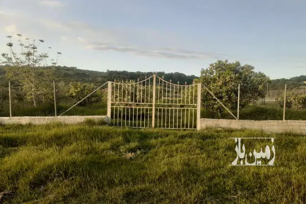 فروش زمین ۱۰۰۰ متری در روستا کوتنا قائمشهر موقعیت عالی و امن - تصویر 4
