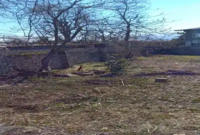فروش زمین مسکونی ۲۹۰ متر چالوس هچیرود سنگوارث با جواز ساخت