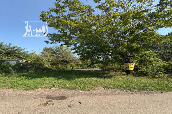 فروش زمین باغی دارای ۵۰ درصد مجوز ساخت بنا سند دار-1
