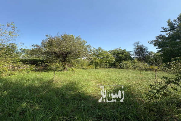 فروش زمین باغی دارای ۵۰ درصد مجوز ساخت بنا سند دار-2