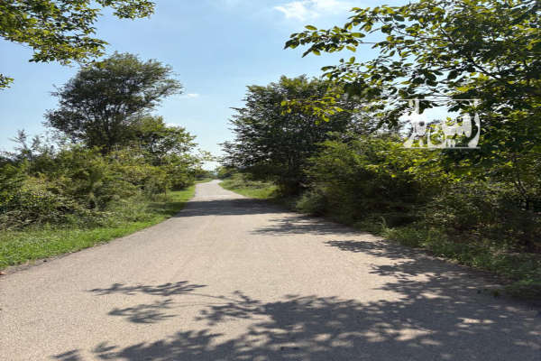 فروش زمین باغی دارای ۵۰ درصد مجوز ساخت بنا سند دار-3