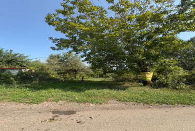 فروش زمین باغی دارای ۵۰ درصد مجوز ساخت بنا سند دار