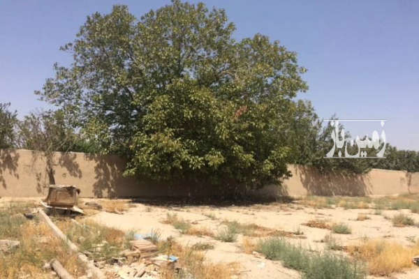 فروش زمین ۱۲۰۰متر چهار دیواری شهریار فردوسیه-2