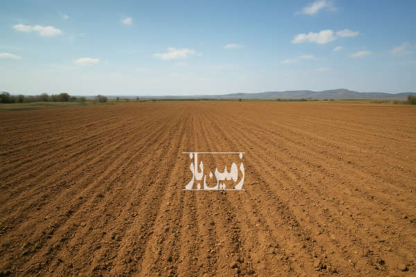 فروش زمین کشاورزی دیم روستای ارتیان ۳۰۰۰۰ متر-1