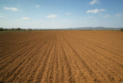 فروش زمین کشاورزی دیم روستای ارتیان ۳۰۰۰۰ متر
