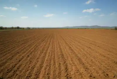 فروش زمین کشاورزی دیم روستای ارتیان ۳۰۰۰۰ متر