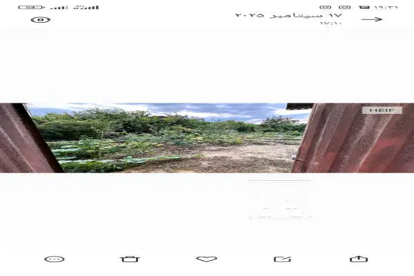 فروش زمین باغی درون بافت روستای لنگور شهر بابل ۷۳۰ متر - تصویر 2