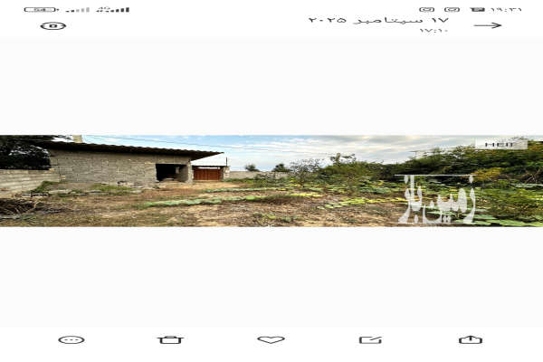 فروش زمین باغی درون بافت روستای لنگور شهر بابل ۷۳۰ متر-3