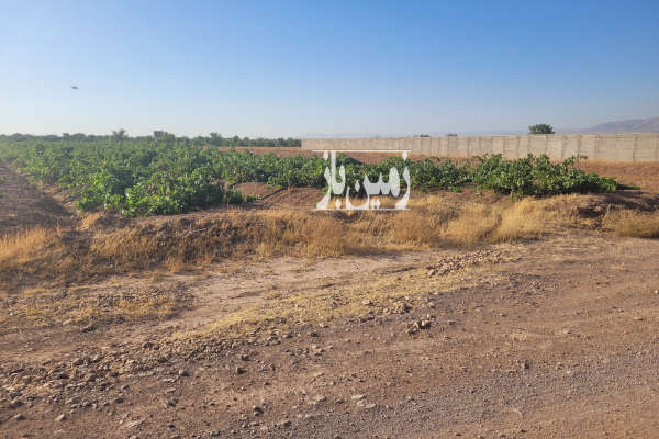فروش زمین کشاورزی باغ انگور شهرستان ابهر ۱۱۰۰۰ متر-1