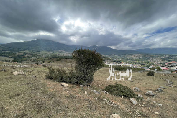 فروش ۲۳۰ متر زمین در روستای خوش آب و هوای توریستی لنگر-2