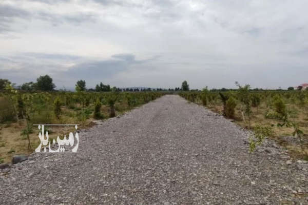 فروش زمین ۱۷۰ متر در امیرآباد چمستان شهرک-1