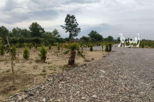 فروش زمین ۱۷۰ متر در امیرآباد چمستان شهرک-2