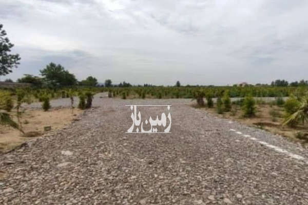 فروش زمین ۱۷۰ متر در امیرآباد چمستان شهرک-3