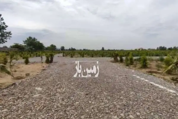 فروش زمین ۱۷۰ متر در امیرآباد چمستان شهرک - تصویر 3