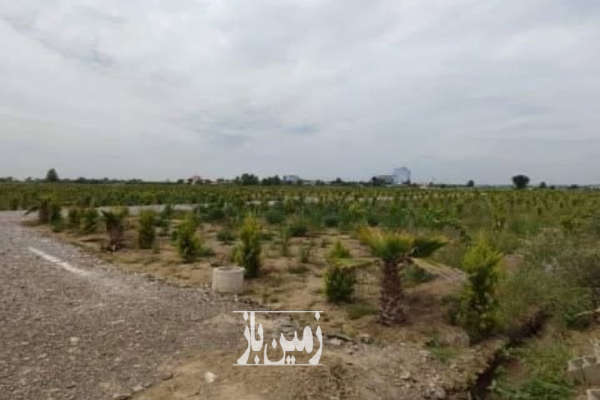 فروش زمین ۱۷۰ متر در امیرآباد چمستان شهرک-4