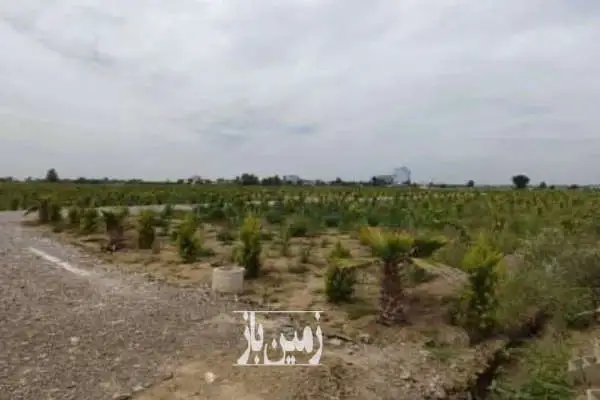 فروش زمین ۱۷۰ متر در امیرآباد چمستان شهرک - تصویر 4