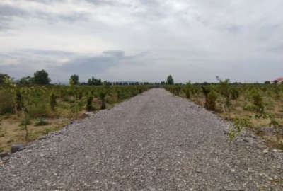 فروش زمین ۱۷۰ متر در امیرآباد چمستان شهرک