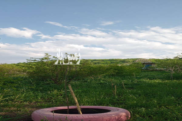فروش باغچه ۳۰۰ متری روستای نصرآباد به سمت جنگل-3