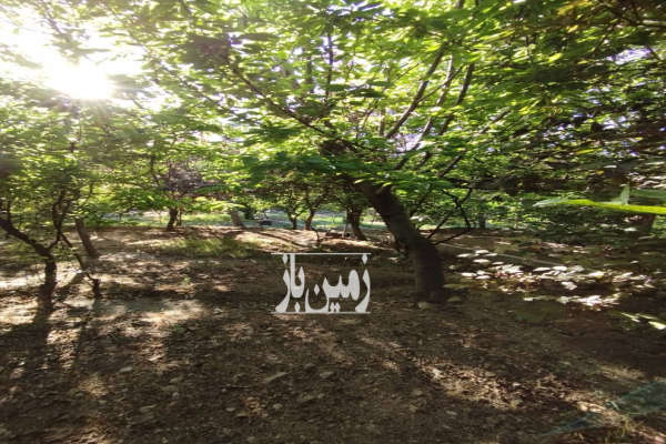فروش زمین باغی ۳۳۳ متر بومهن خیابان سیاه بند-1