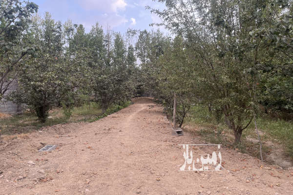 فروش باغ چهار دیواری با ساخت پیربکران روستای پاوا ۸۰۰ متر-3