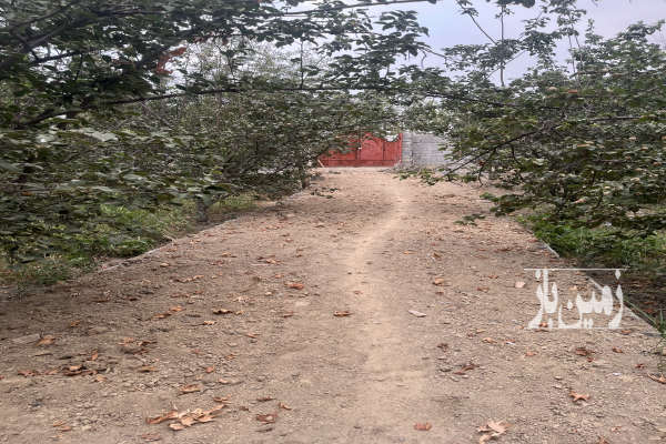 فروش باغ چهار دیواری با ساخت پیربکران روستای پاوا ۸۰۰ متر-4