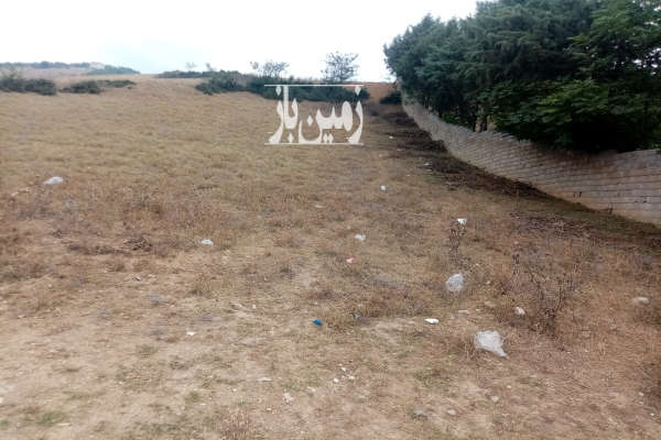 فروش ۱۰۰۰ متر زمین مسکونی در مرزن آباد روستای پردنگون-4