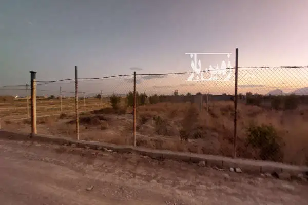 فروش زمین کشاورزی ۷۹۰ متری خورزوق دارای آب - تصویر 2