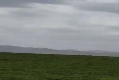 فروش زمین کشاورزی واقع در اطراف شهر میان ۳۷۰۰۰۰ متر