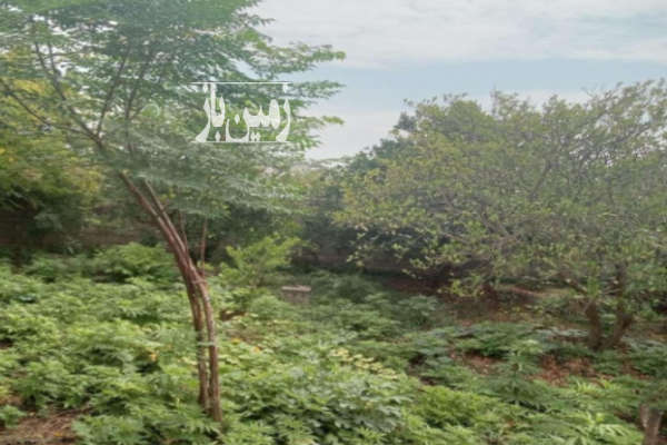 فروش زمین مناسب ساخت و دارای سند تک برگ ۱۷۴ متر-3