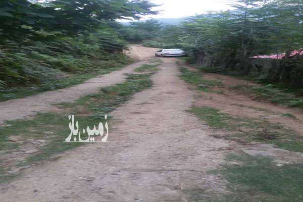 فروش زمین ۳۰۰۰ متر در چماچا رشت با امتیاز-2