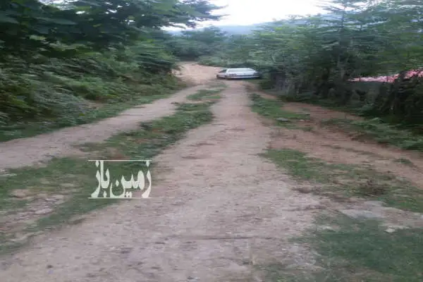 فروش زمین ۳۰۰۰ متر در چماچا رشت با امتیاز - تصویر 2