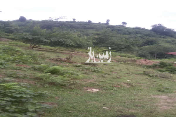 فروش زمین ۳۰۰۰ متر در چماچا رشت با امتیاز-3