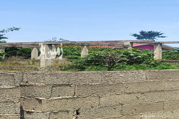 فروش زمین مسکونی با مجوز ساخت ماکلوان روستای گسگره ۲۵۰ متر-2