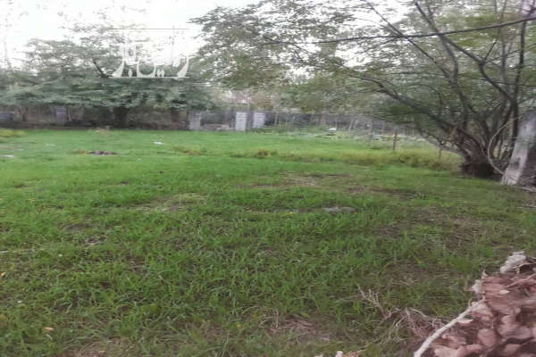 فروش زمین مسکونی ۳۵۰ متر در جاده کیسم روستای بازان-2