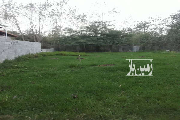 فروش زمین مسکونی ۳۵۰ متر در جاده کیسم روستای بازان-3