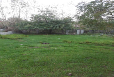 فروش زمین مسکونی ۳۵۰ متر در جاده کیسم روستای بازان