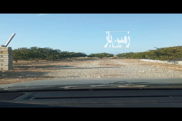 فروش باغ مرکبات امامزاده محمود لاریم داخل روستا ۲۰۰ متر-2