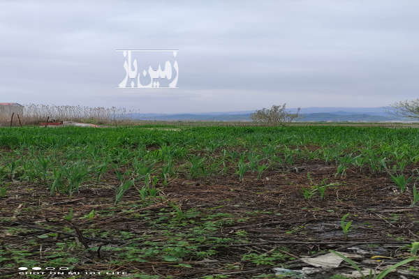 فروش زمین مسکونی ۱۱۳۰متر در شهر زیبای آستارا-1