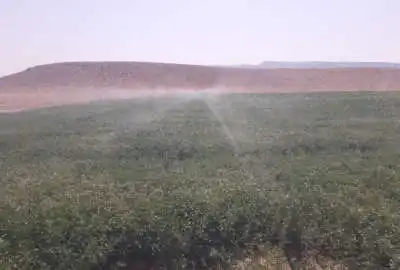 فروش زمین کشاورزی فسا روستای احمد اباد ۸۰۰۰۰۰ متر