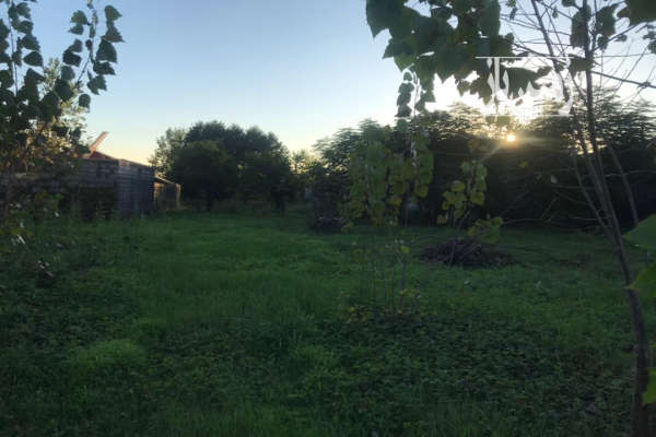 فروش زمین مسکونی ۳۰۰۰ متر بندرانزلی-2