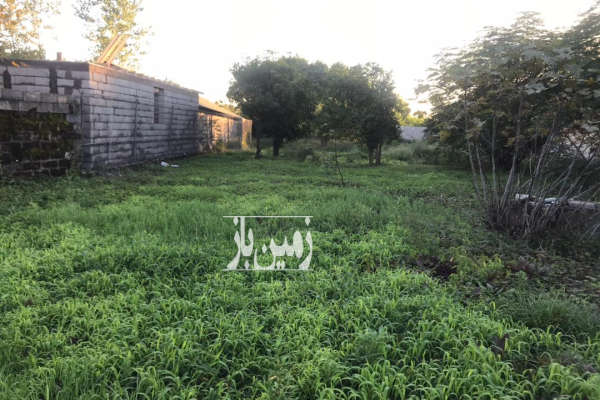 فروش زمین مسکونی ۳۰۰۰ متر بندرانزلی-4