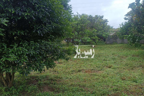 فروش زمین باغ ۱۱۵۰ متری واقع در پس کلایه-2