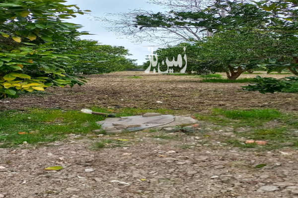 فروش زمین در روستای افراکتی قائمشهر ۲۲۱۸ متر-2