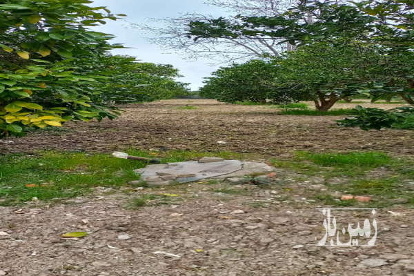 فروش زمین در روستای افراکتی قائمشهر ۲۲۱۸ متر-3