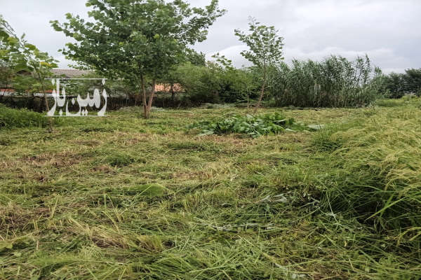 فروش زمین باغی ۵۰۵ متری در روستای لاله دشت خشکبیجار-3