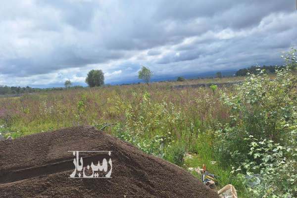 فروش ۳۰۰ متر زمین جنب پارک جنگلی نور با نامه کاربری-1