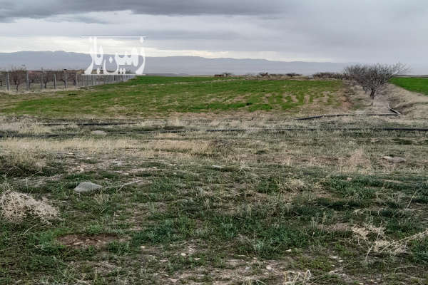 فروش زمین ۱۵۰۰متر واقع در زنجان بین روستای قشلاق و قره چریان-4