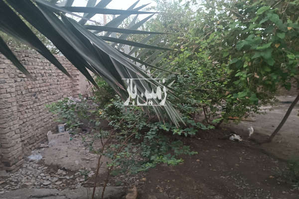 فروش زمین مسکونی در ایرانشهر شهر محمدان ۳۰۰ متر-2