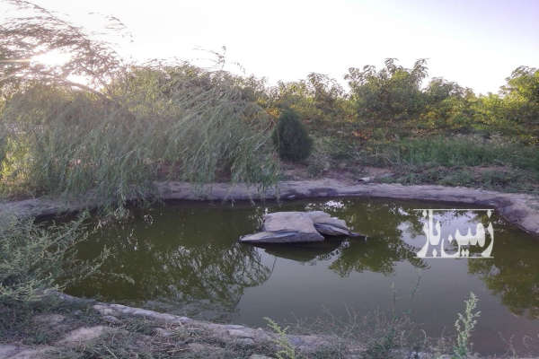 فروش زمین باغ ۱۱۵۰ متری انتهای روستای حاجی اباد-1