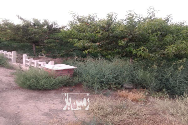 فروش زمین باغ ۱۱۵۰ متری انتهای روستای حاجی اباد-2